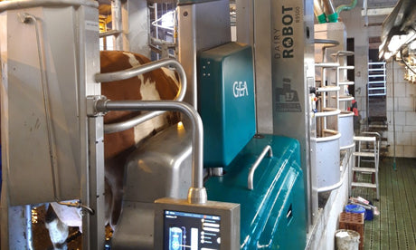 Smarter arbeiten mit Melkroboter