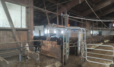 Ein Melkroboter für den Biobetrieb Roth