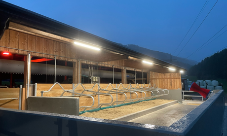 Neuer Milchvieh-Auslauf bei Innsbruck