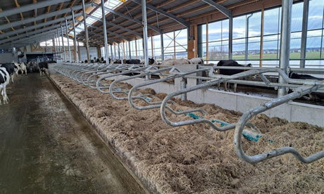 Stall Neubau bei Familie Huber