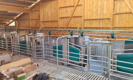 Stallumbau mit 4 GEA Melkrobotern in Kressbronn