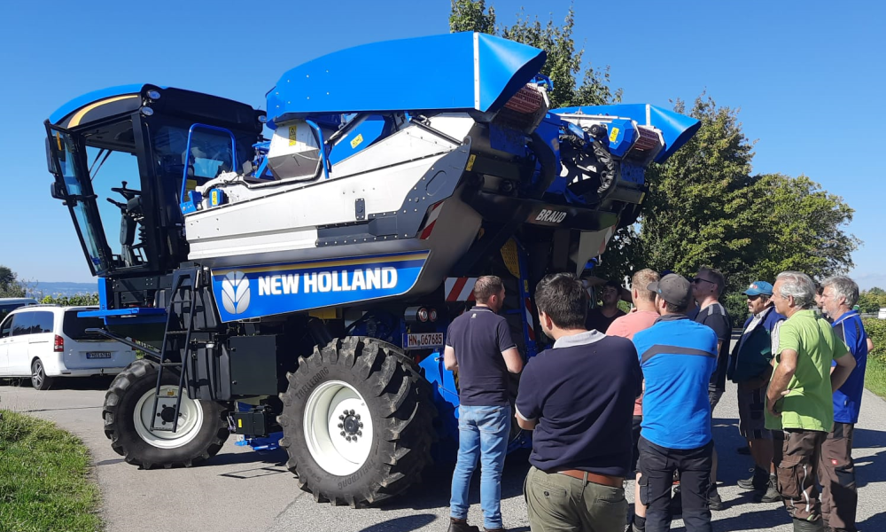 Eine BRAUD für die Winzer in Hagnau am Bodensee
