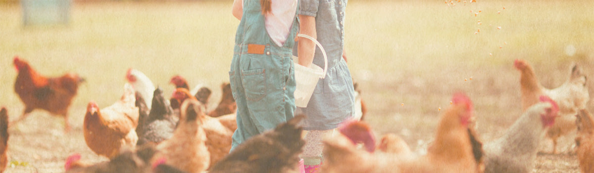 Ida Plus Geflügel Ergänzungs-Futtermittel