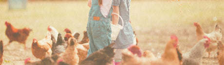 Ida Plus Geflügel Ergänzungs-Futtermittel