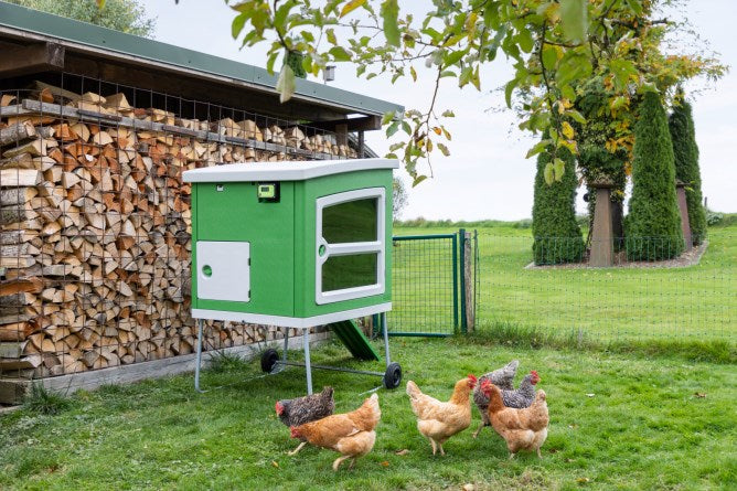 SmartCoop System zur Geflügelhaltung