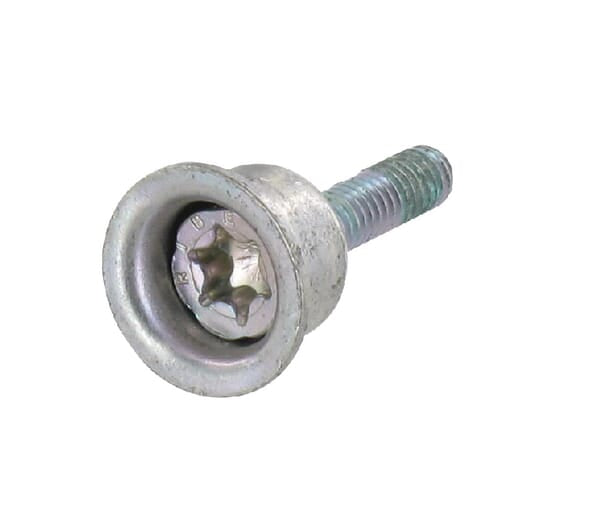 Stihl Kombischraube 4 mm 00007906100