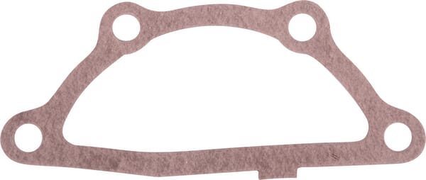 SDF Group Gasket 001039580