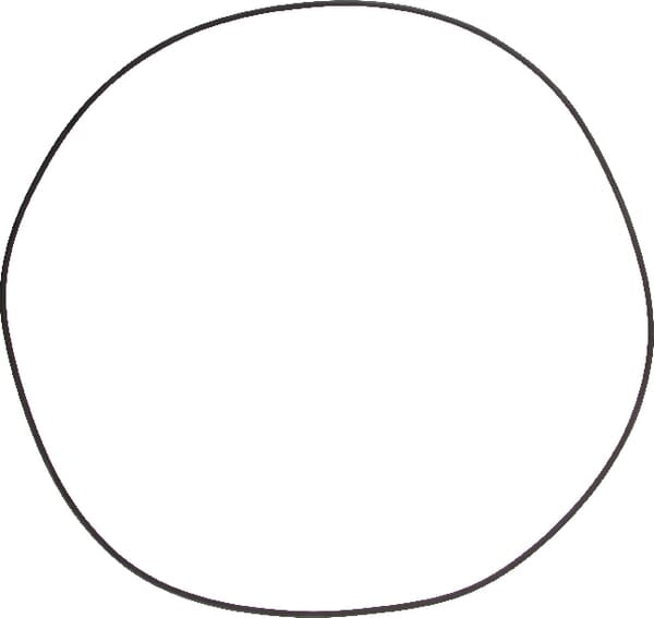 KRAMP O-Ring 001053338