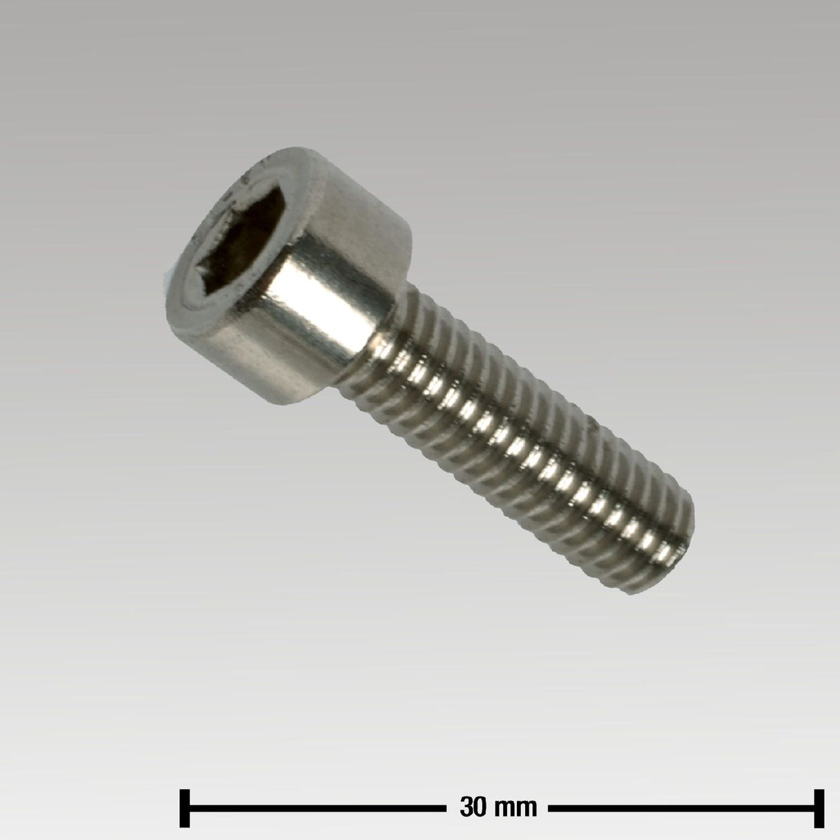 GEA Zylinderschraube 0019-6093-300 (00196093300)