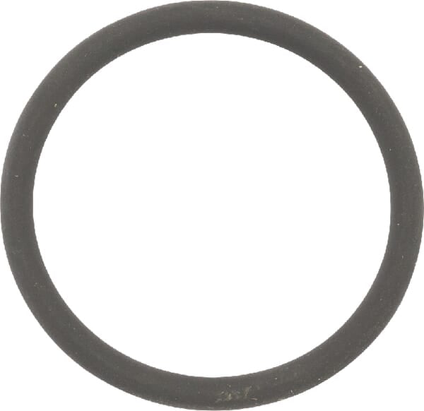 O-ring