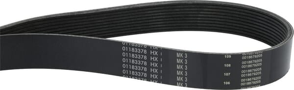 V-ribbed belt