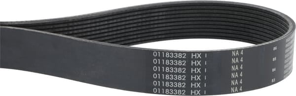 V-ribbed belt
