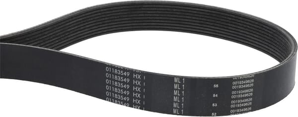 V-ribbed belt