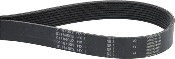 V-ribbed belt
