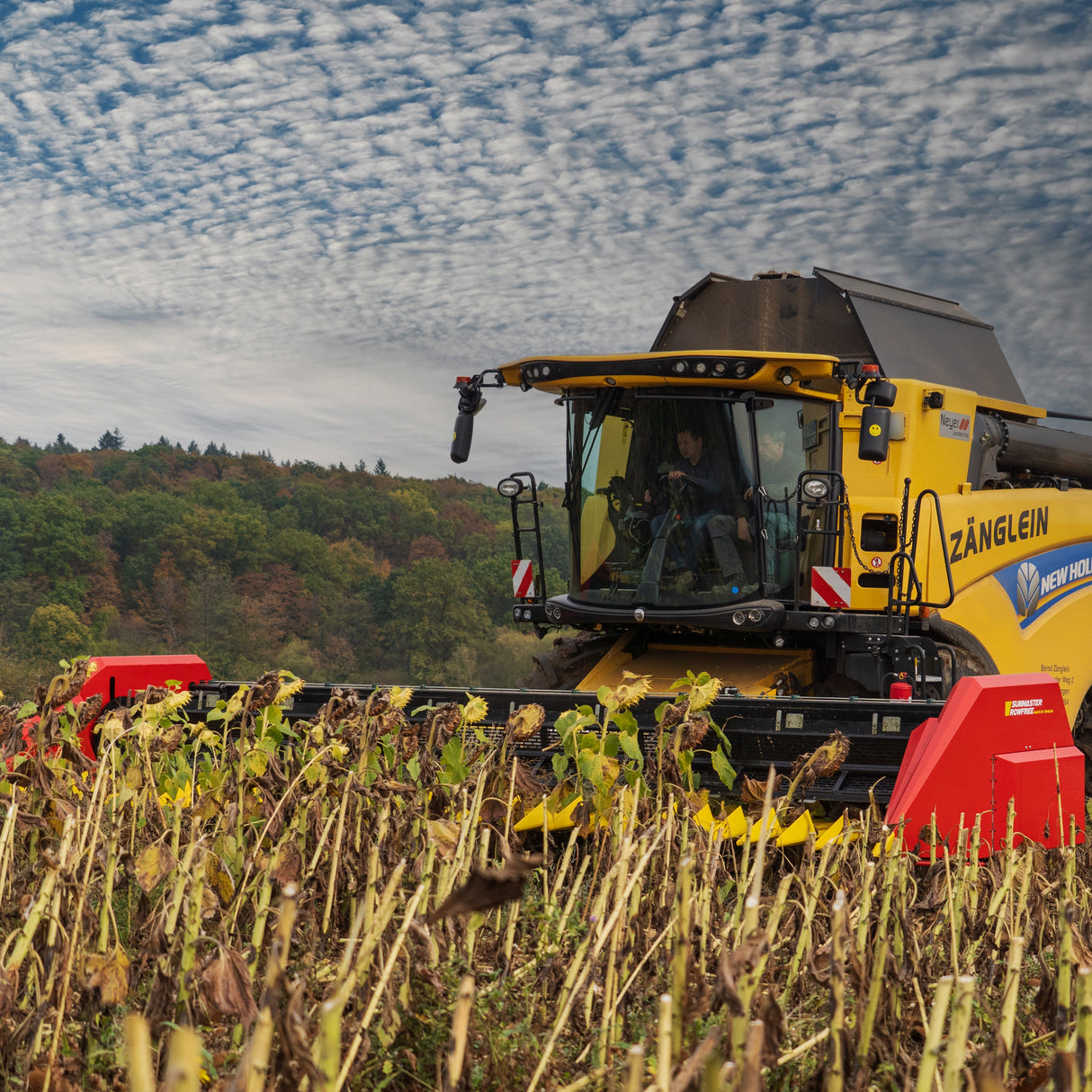 ZIEGLER SUNMASTER ROWFREE Schneidwerk