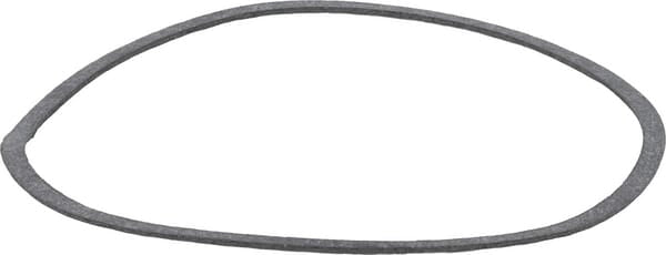 O-ring
