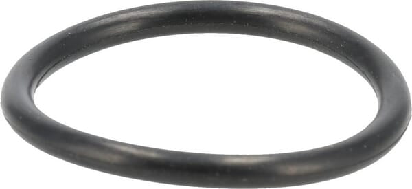 O-ring