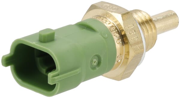 Weidemann Sensor - 1 Stück - 1000462100