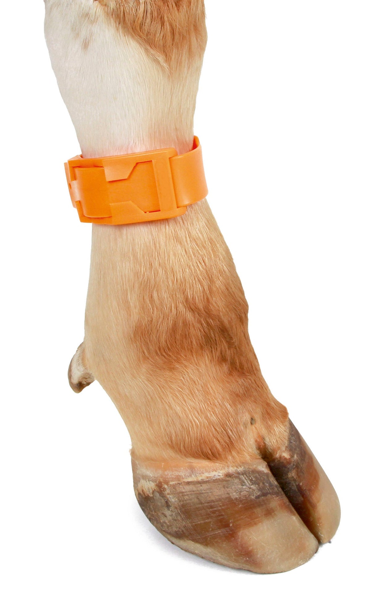 Kerbl Fesselband, Kunststoff orange 20114 10 Stück