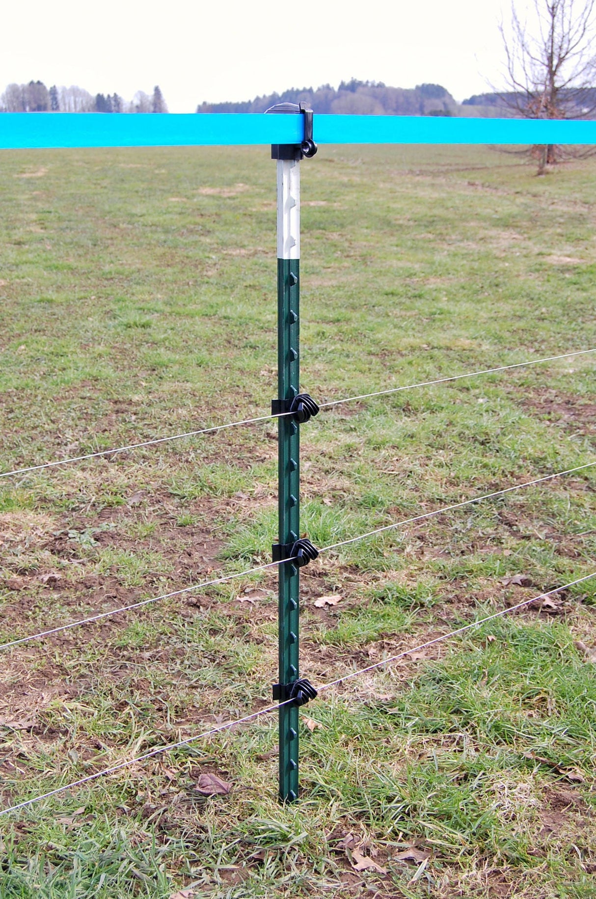 AKO T-Pfahl, 213cm, grün lackiert 441462 5 Stück