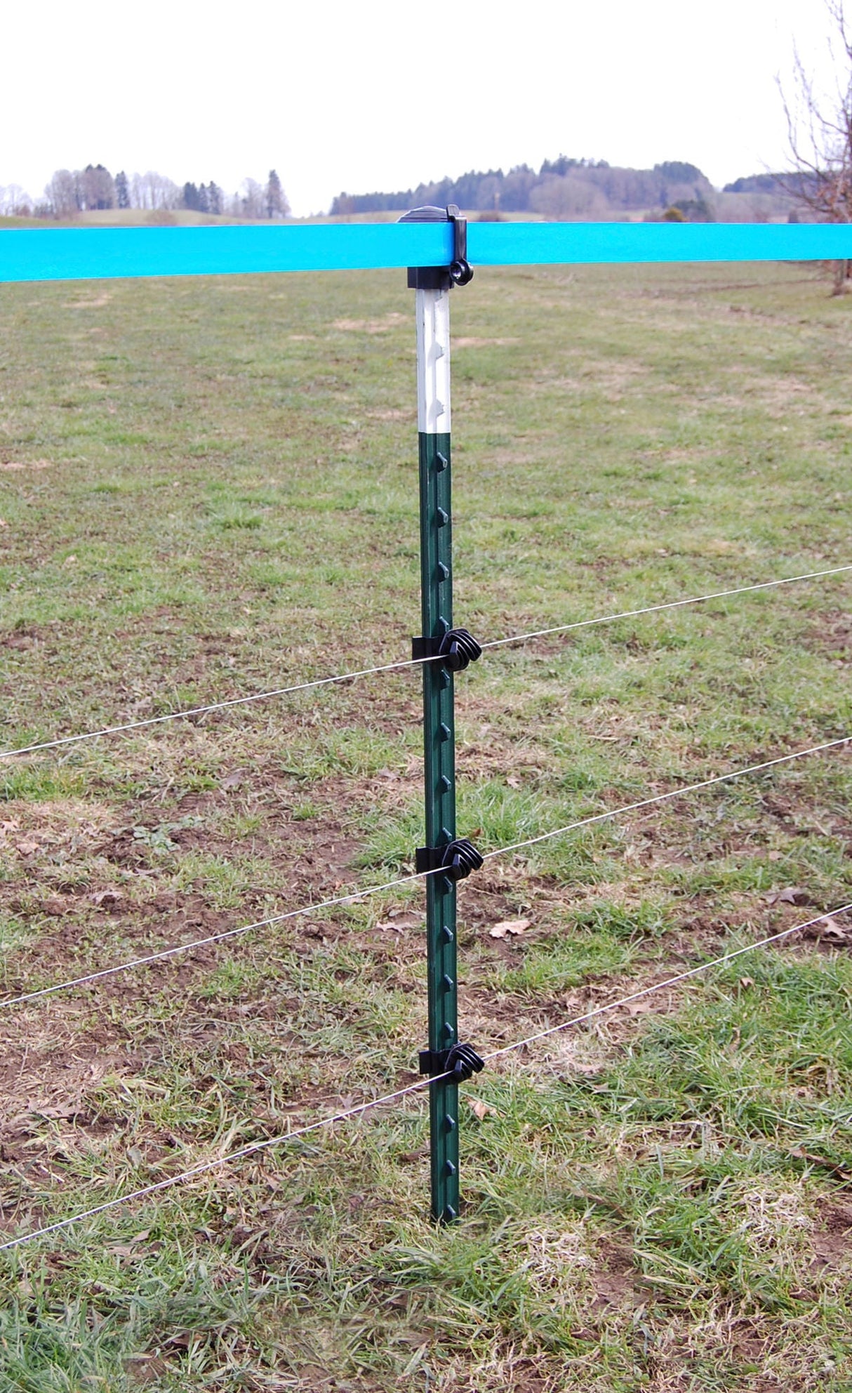 AKO T-Pfahl, 213cm, grün lackiert 441462 5 Stück