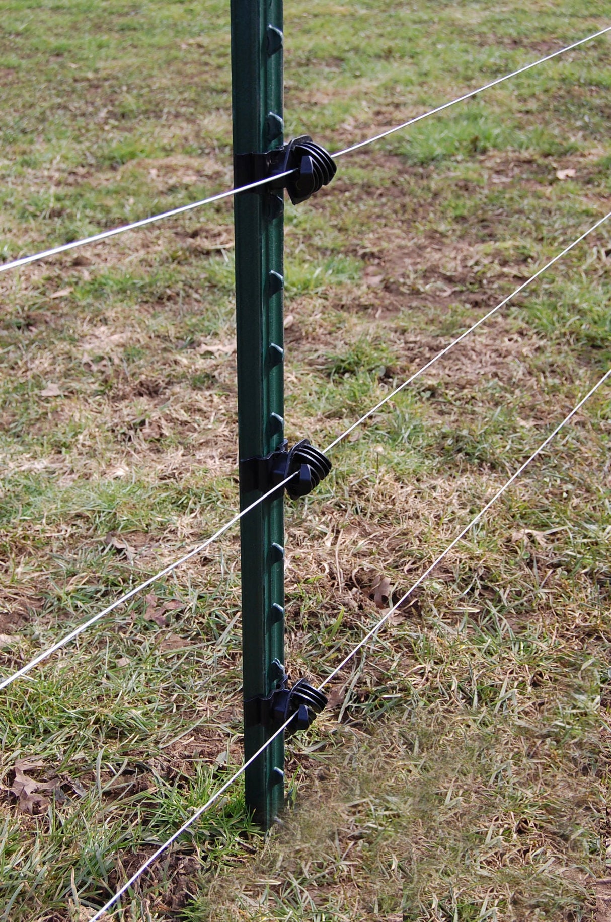 AKO T-Pfahl, 213cm, grün lackiert 441462 5 Stück