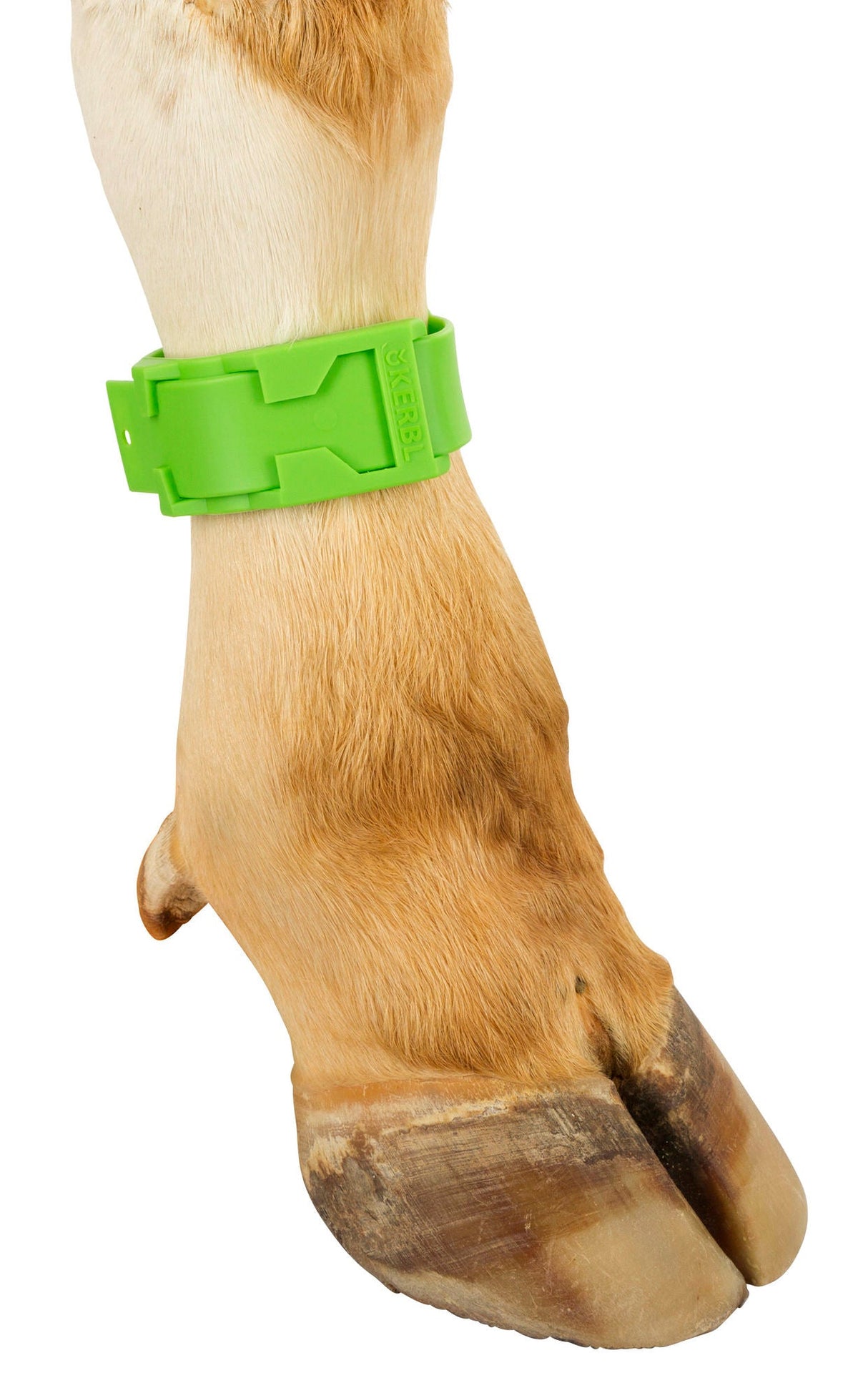 Kerbl Fesselband, Kunstst. grün 20113 10 Stück