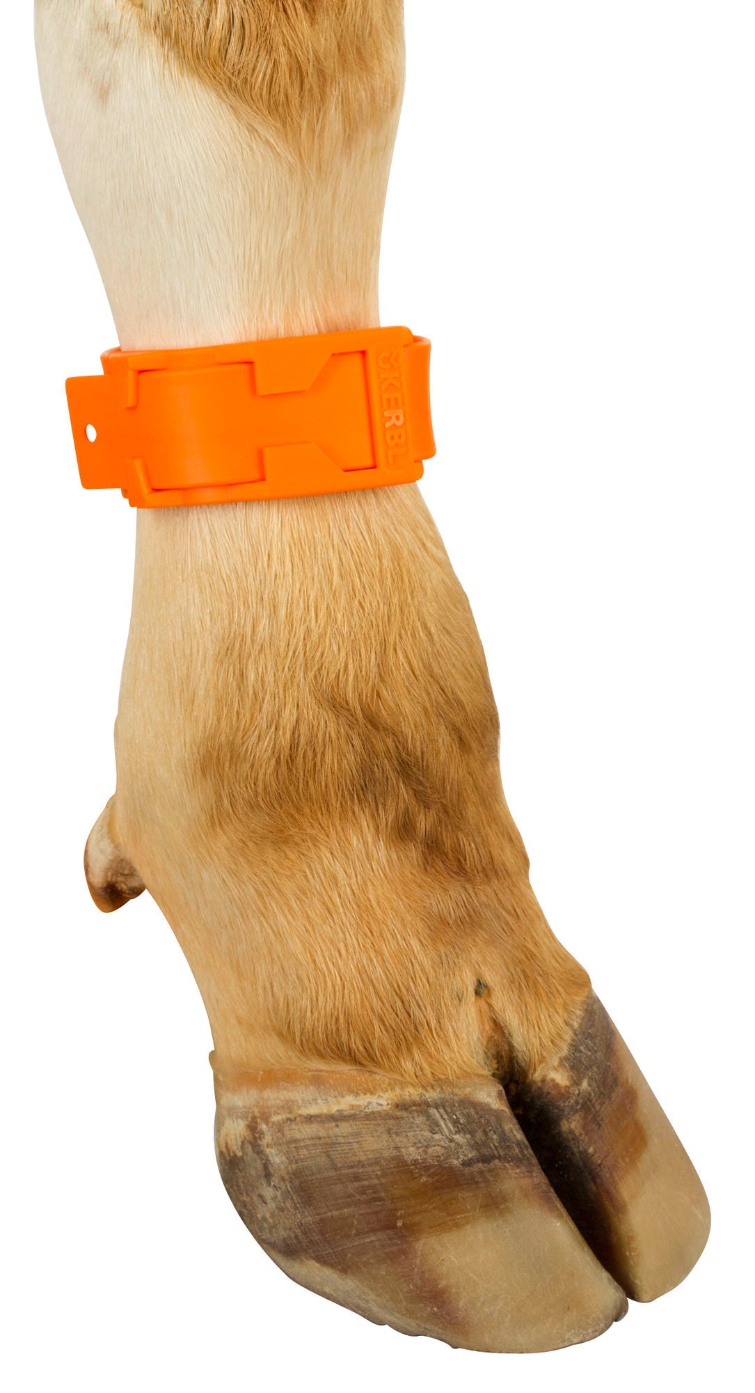 Kerbl Fesselband, Kunststoff orange 20114 10 Stück