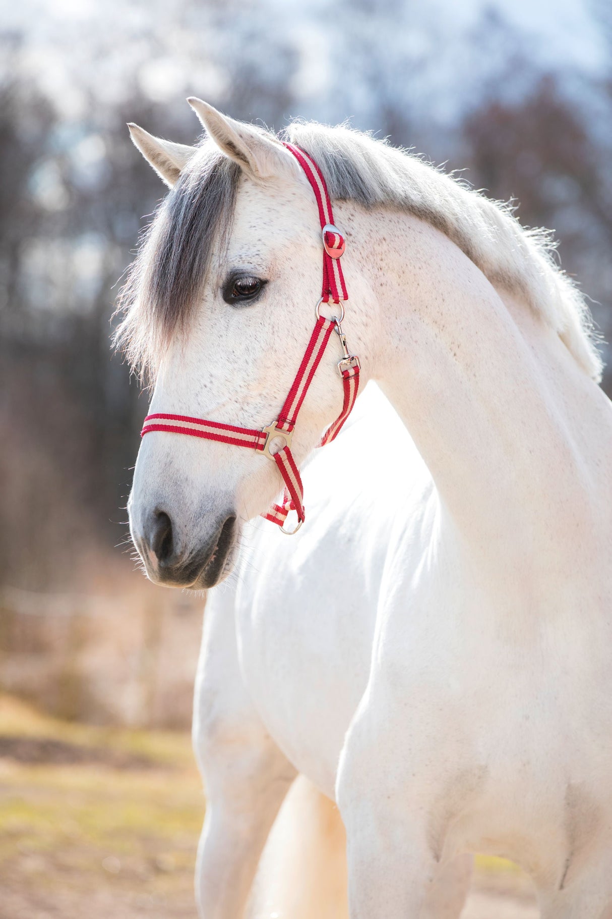 Kerbl Artikel 328243 im Online Shop kaufen