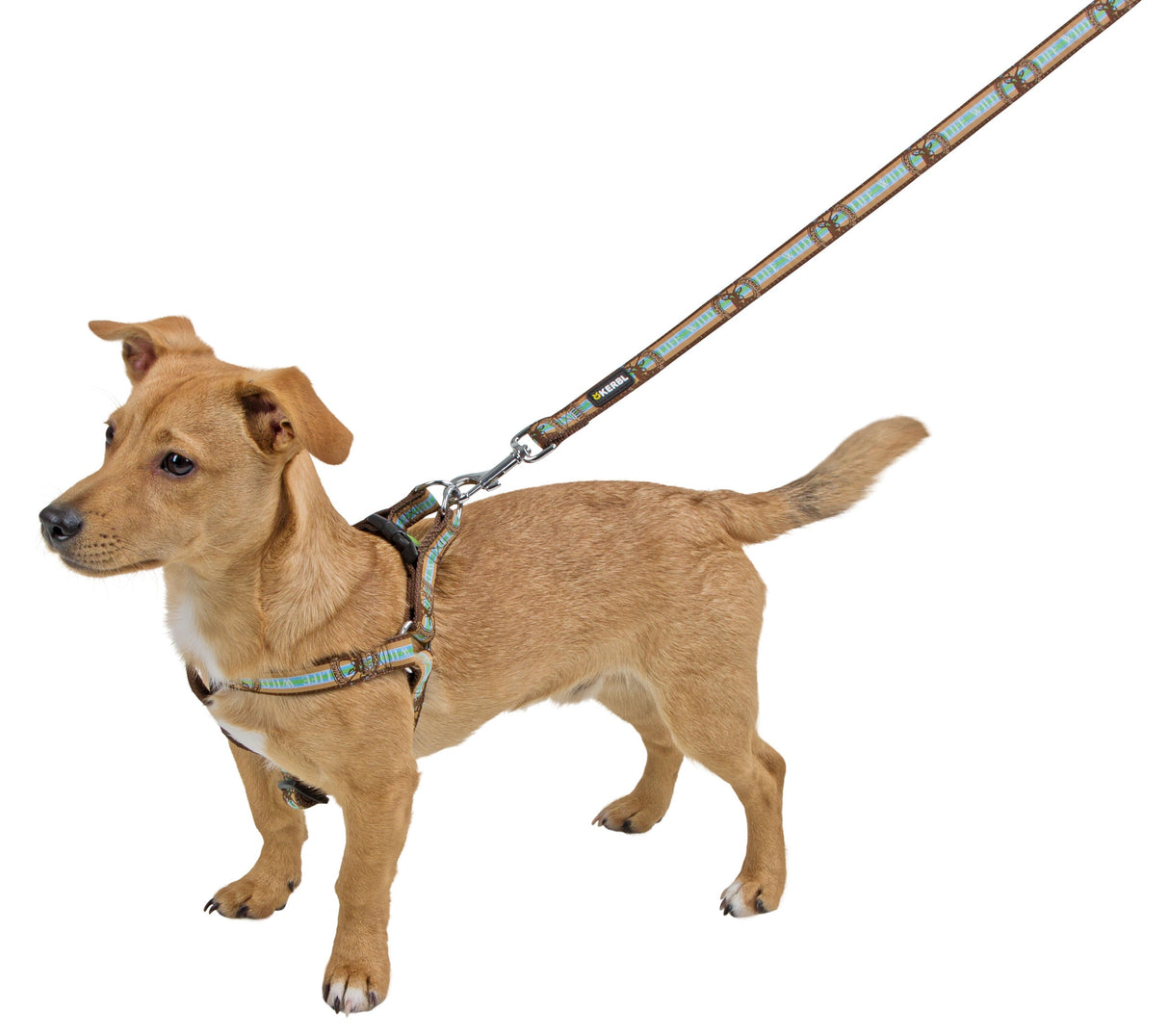 Kerbl Artikel 80269 im Online Shop kaufen