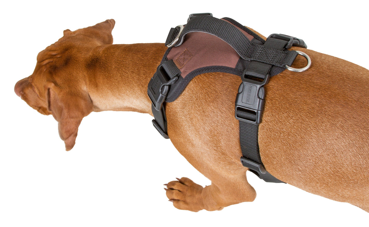 Kerbl Artikel 81019 im Online Shop kaufen