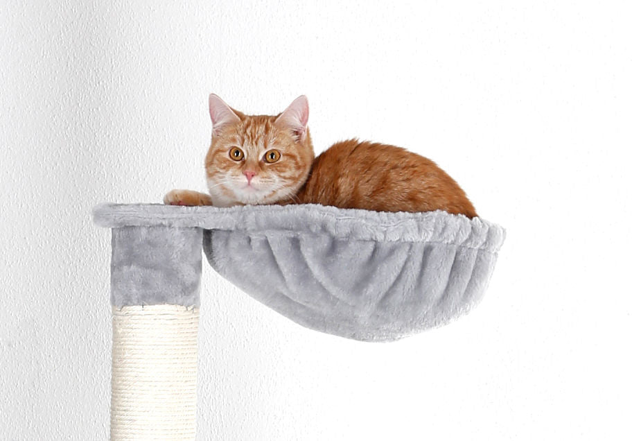 Kerbl Artikel 81566 im Online Shop kaufen