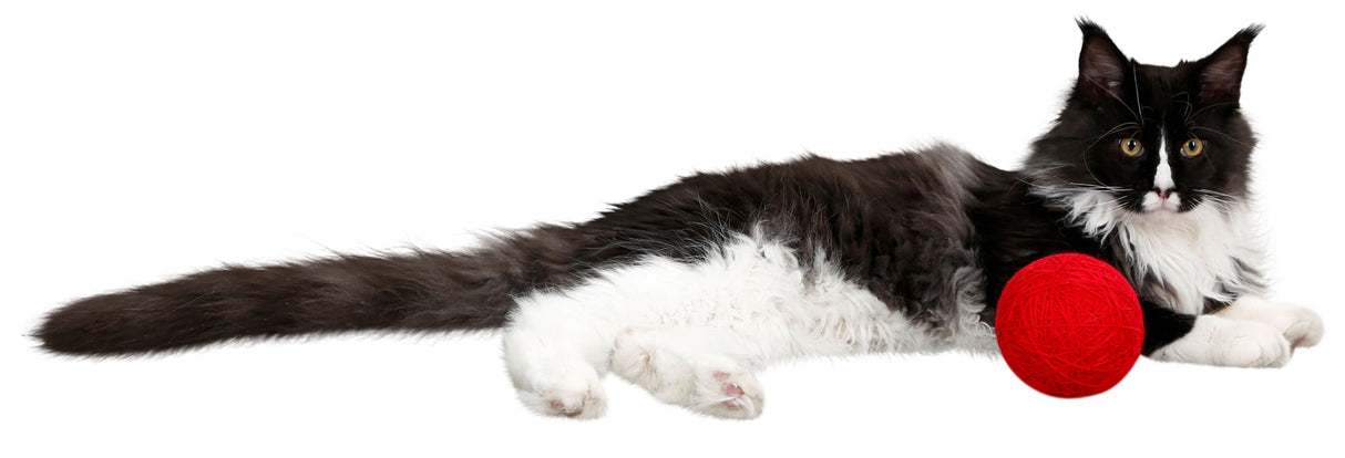 Kerbl Artikel 81664 im Online Shop kaufen