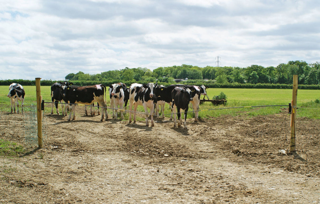 Kerbl Mini-Elektroschranke 1,2 m Komplett Set 44283