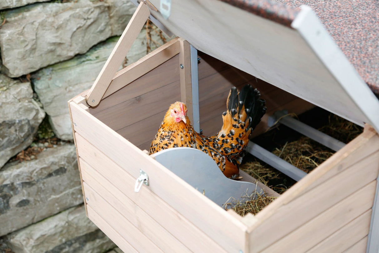 Kerbl Hühnerstall Bonny m. Metall- rahmen am Boden 181x65x118cm 81713