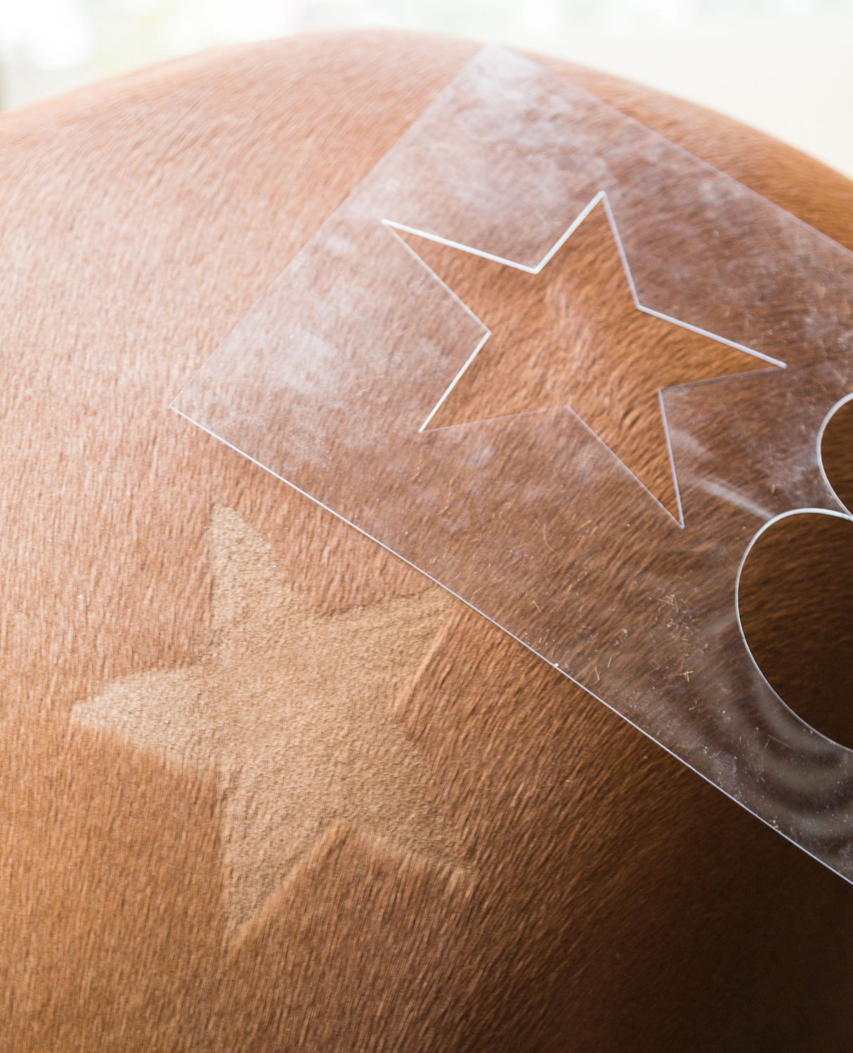 Kerbl Artikel 321900 im Online Shop kaufen