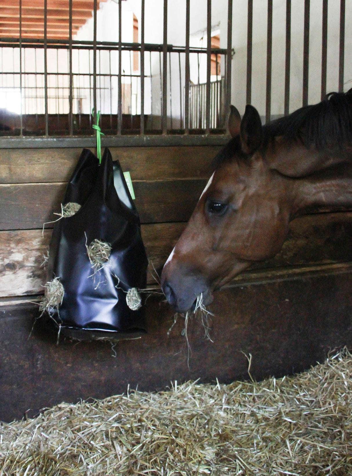 Kerbl Hay Bag Heutrage klein für Pferde oder Kälber -326102