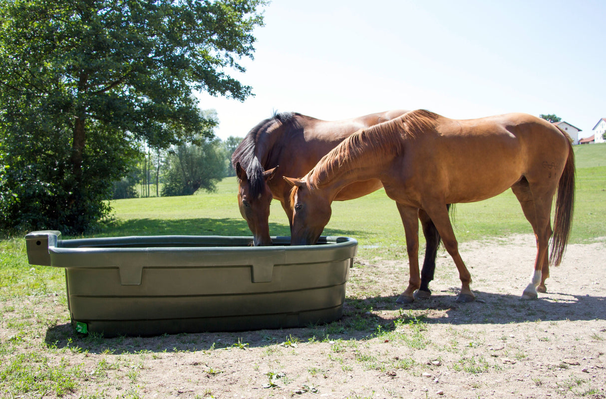 Kerbl Artikel 223624 im Online Shop kaufen