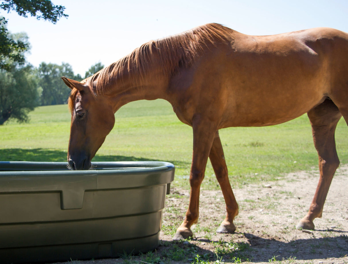 Kerbl Artikel 223624 im Online Shop kaufen