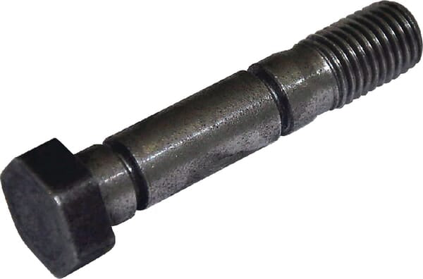 Screw M16x81