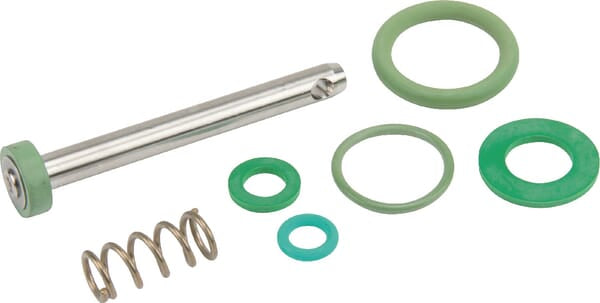 Birchmeier Dichtung Kit Ausl. Viton (10B) 11664910