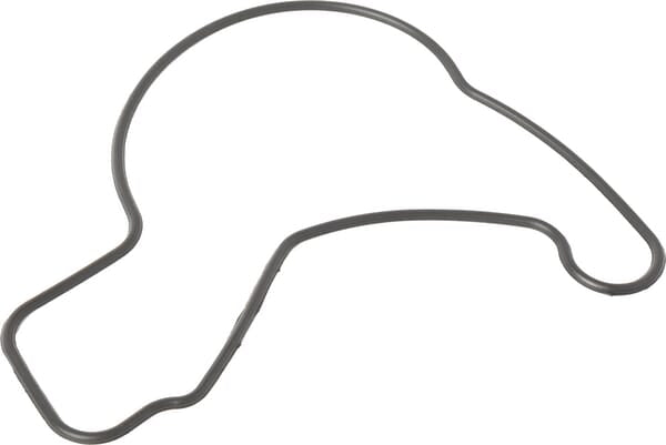 Lombardini O-Ring 1200292