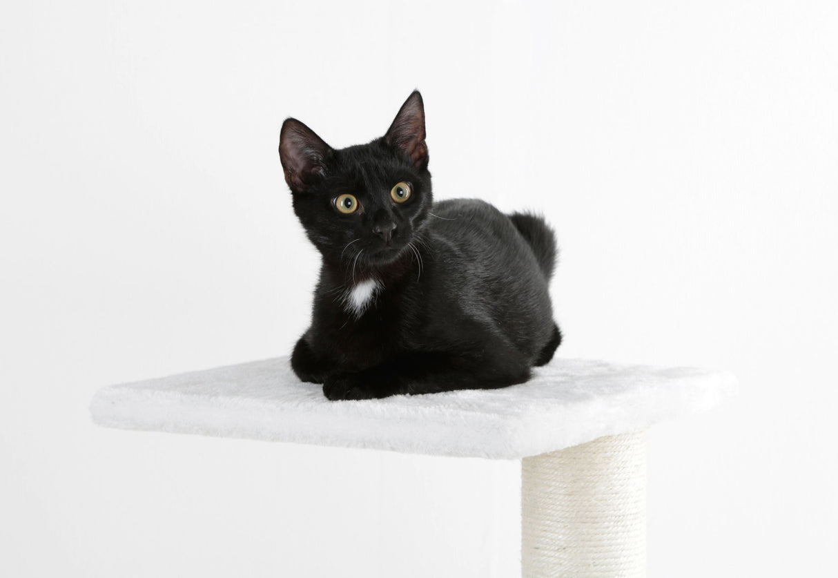 Kerbl Artikel 81588 im Online Shop kaufen