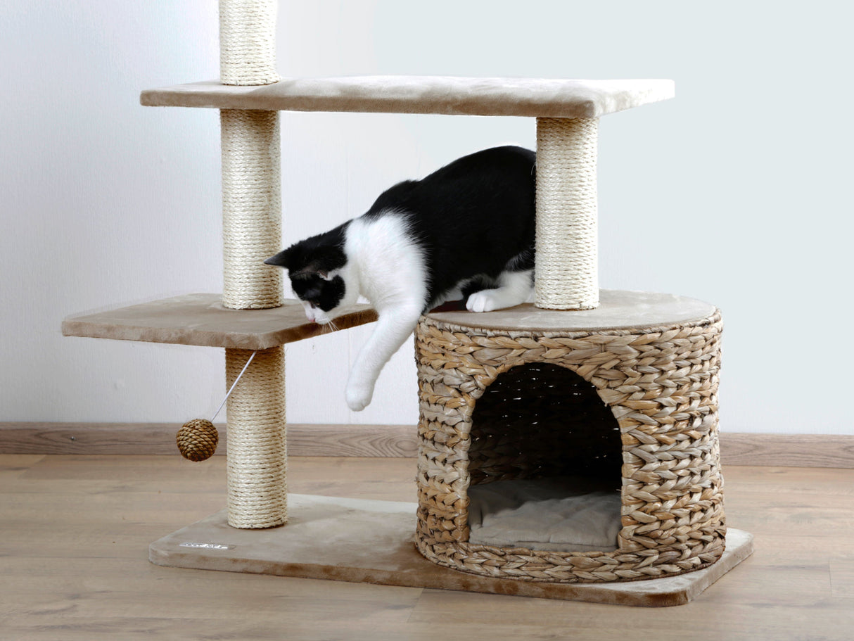 Kerbl Artikel 81592 im Online Shop kaufen