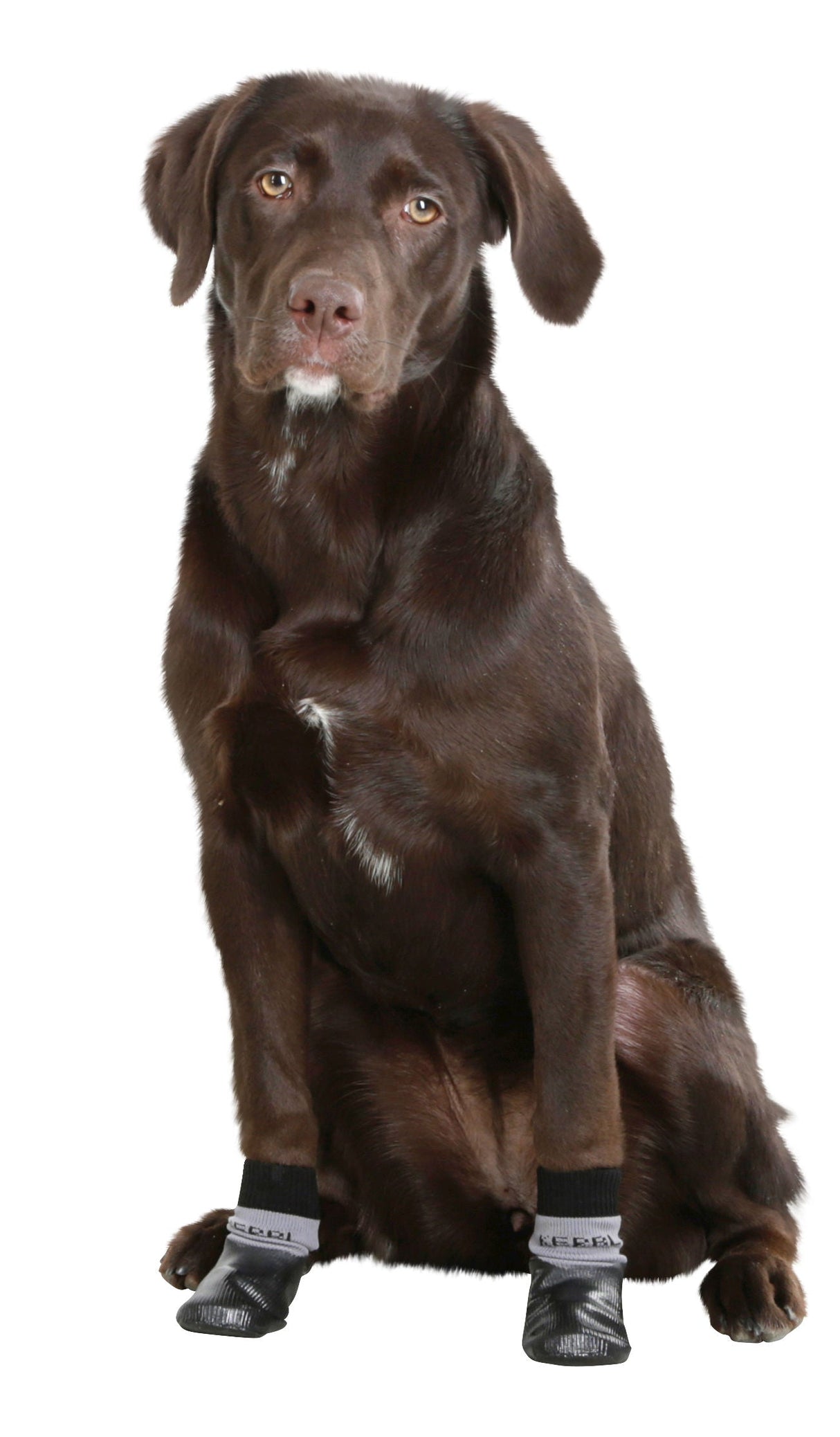 Kerbl Artikel 80647 im Online Shop kaufen