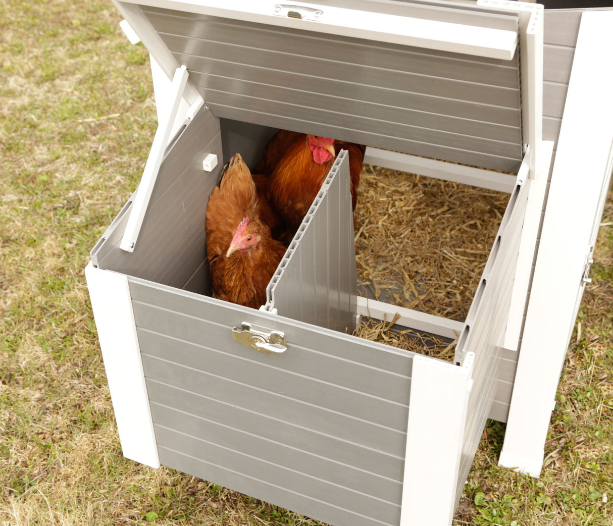 Kerbl ECO-Kunststoffstall Barney für Hühner, 137 x 73 x 83 cm 1 Stück 81731