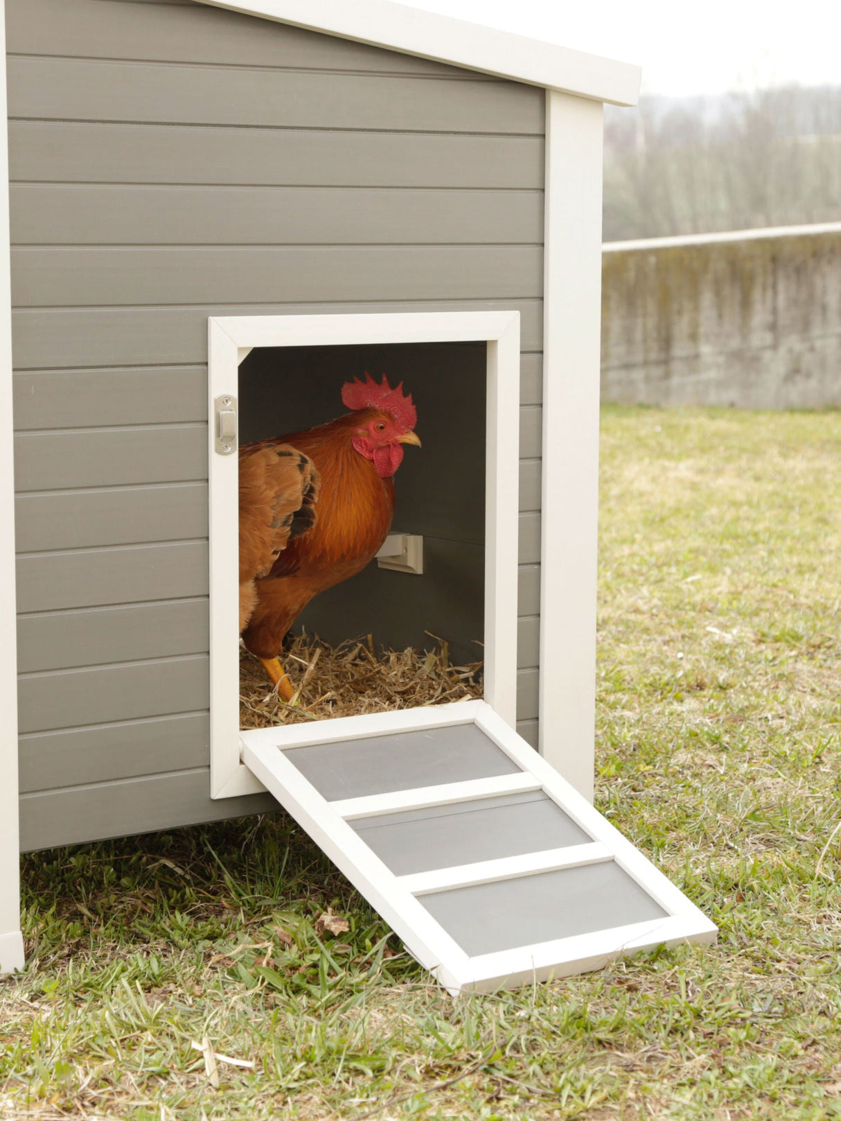 Kerbl ECO-Kunststoffstall Barney für Hühner, 137 x 73 x 83 cm 1 Stück 81731