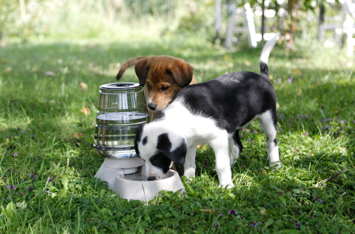 Kerbl Artikel 81998 im Online Shop kaufen