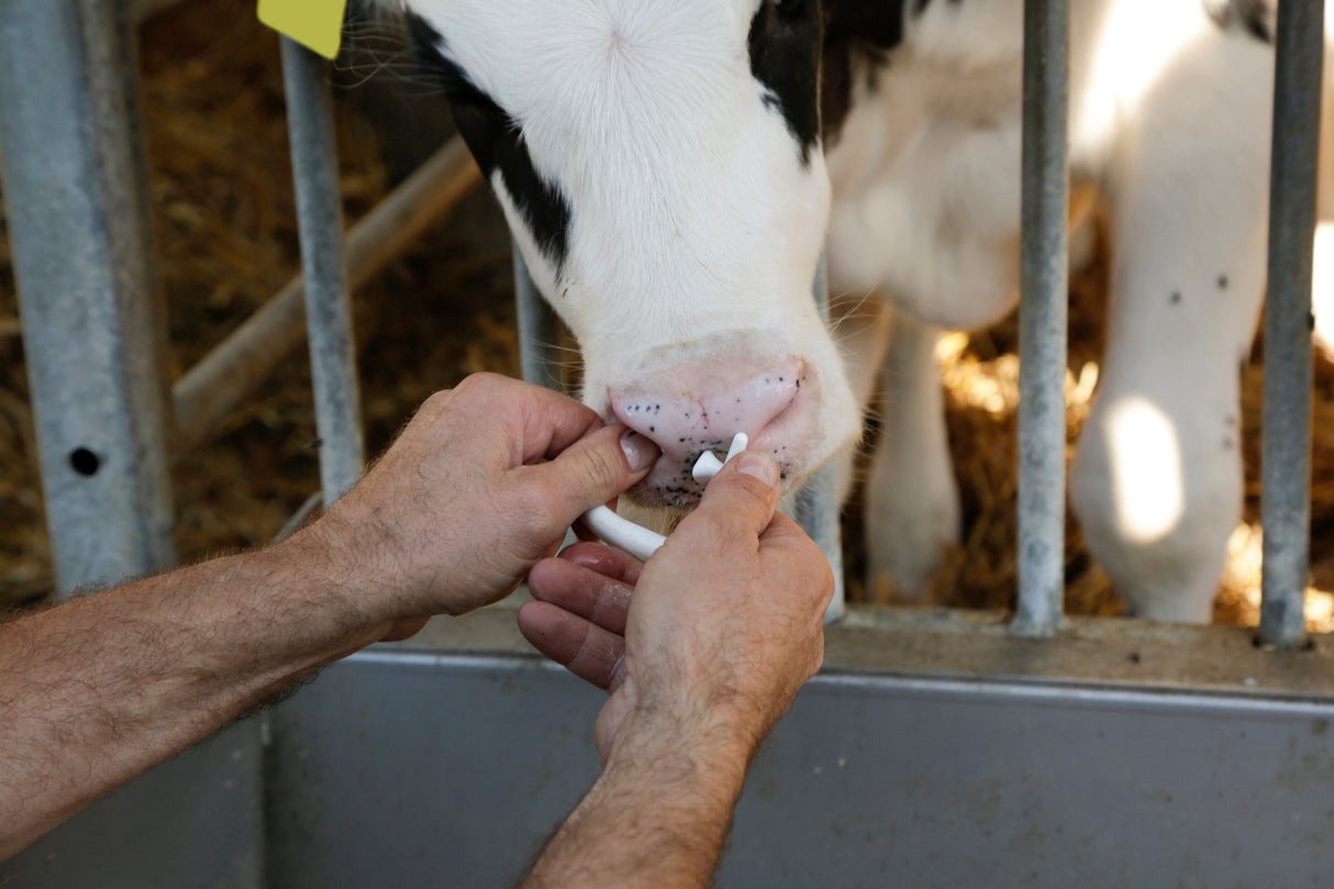 Kerbl Viehsaugentwöhner SuckStop Müller, für Großvieh, 2 Stk 1 Blister 13142/2