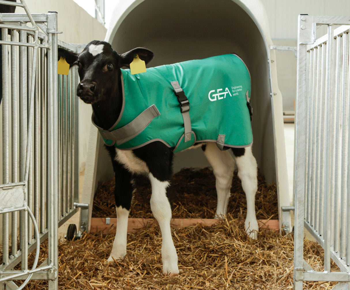 GEA Kälberdecke, 80cm - 7315-5152-200 (14147-GEA / 73155152200)